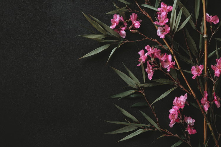 Oleander Plant Background Wallpaper