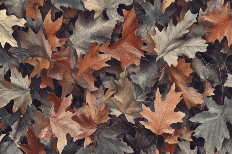 Autumn Leaves Clipart Image 17