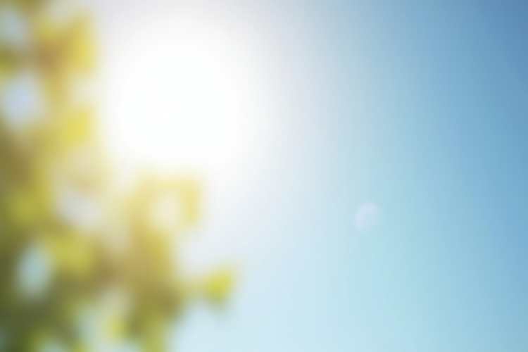 Blurred Background Wallpaper