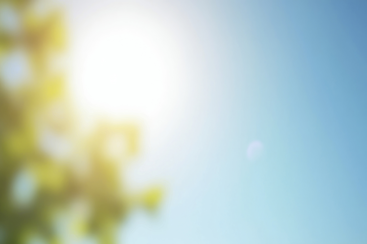Blurred Background Wallpaper