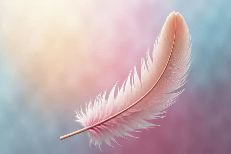 Feather Texture Image 21