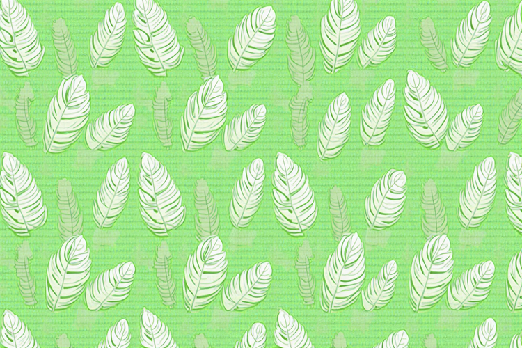 Craft Clipart Image 16