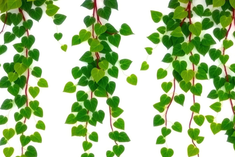 Green Texture Background Image 15