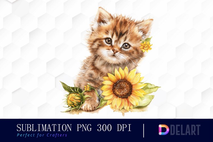 Kitten Png Image 6