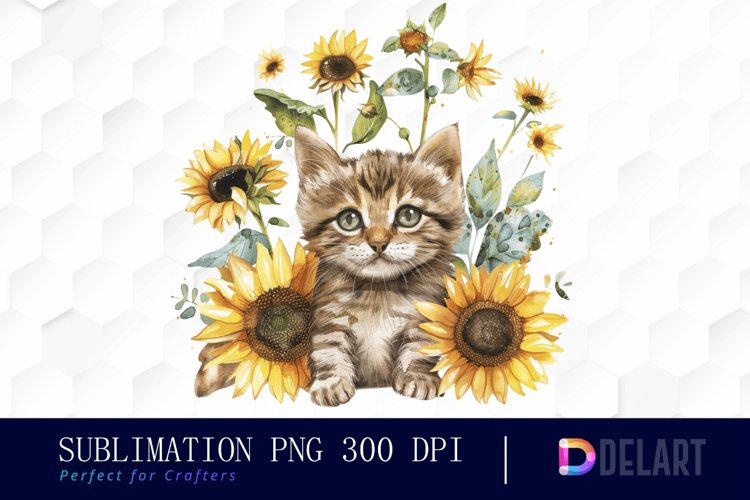 Kitten Png Image 5