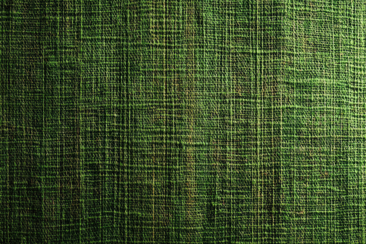 Green Texture Background Image 16