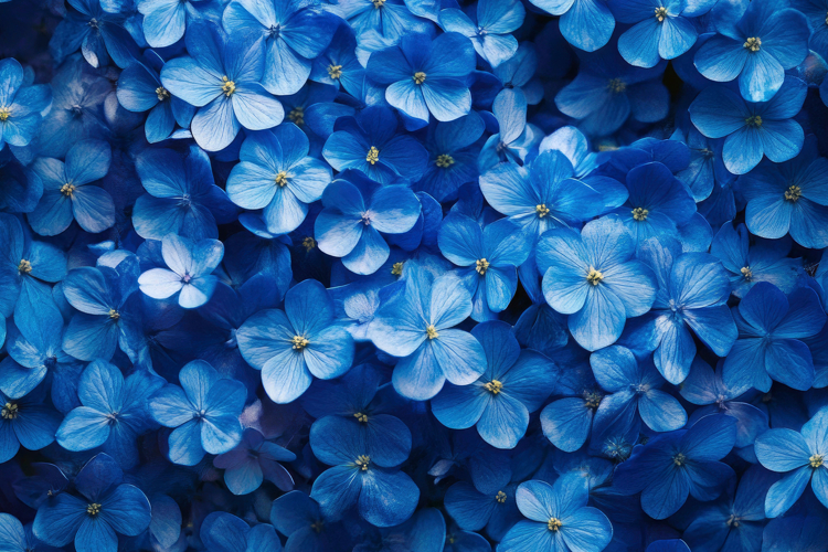 Pattern Background Image 3
