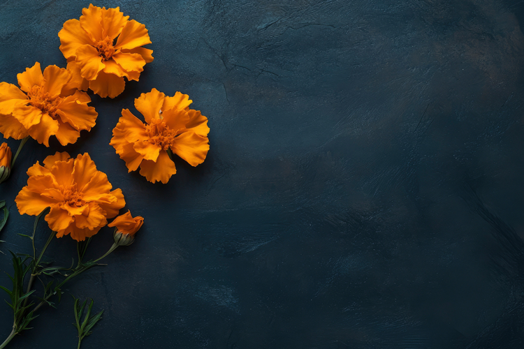 Marigold Clipart