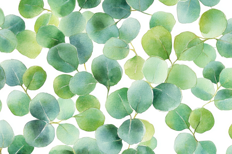 Eucalyptus Leaves Clipart