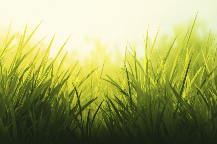 Green Texture Background Image 24