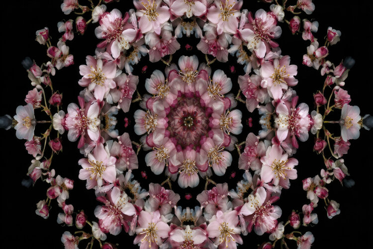 Kaleidoscope Background example image 1