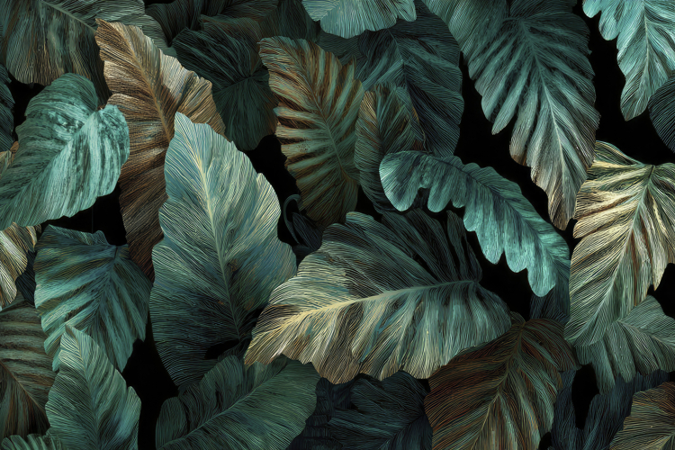 Leaves Background Image 10