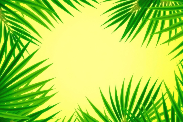 Palm Leaf Clipart Image 11