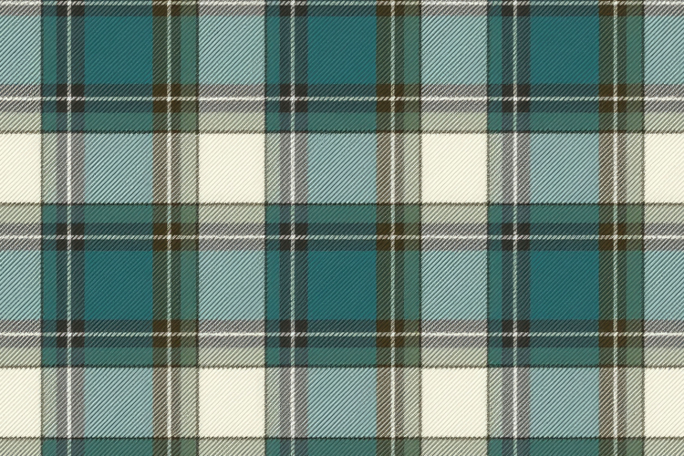Plaid Texture Image 17