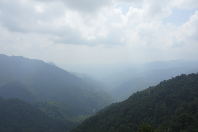 Smoky Mountain background