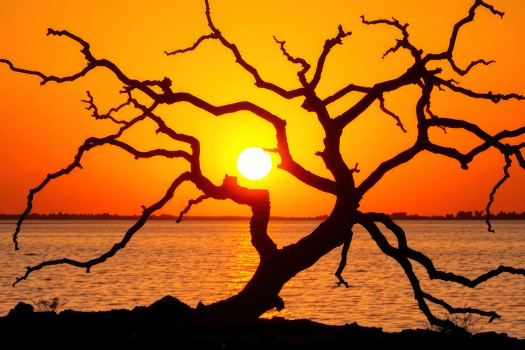 Sunset Background Image 9