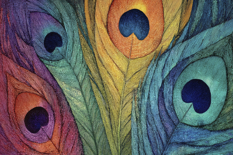 Peacock Feathers Background