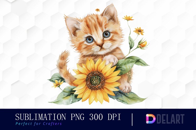 Kitten Png Image 24