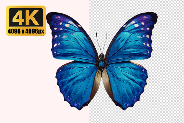 Blue Butterfly Clipart Image 8