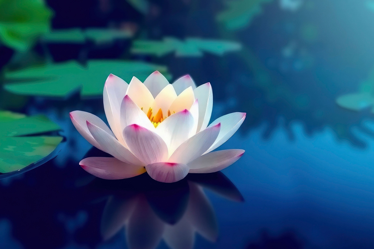 Sublimation Background Image 19