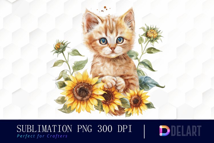 Kitten Png Image 10