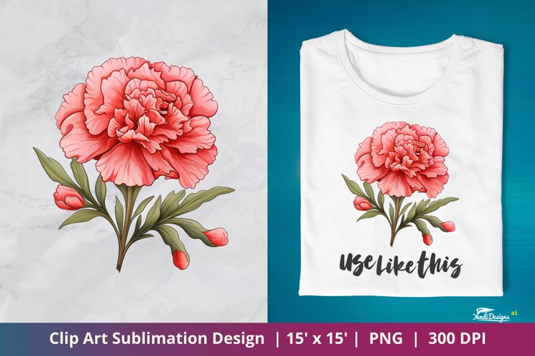 Beautiful Carnation Flower Clip Art Sublimation 5
