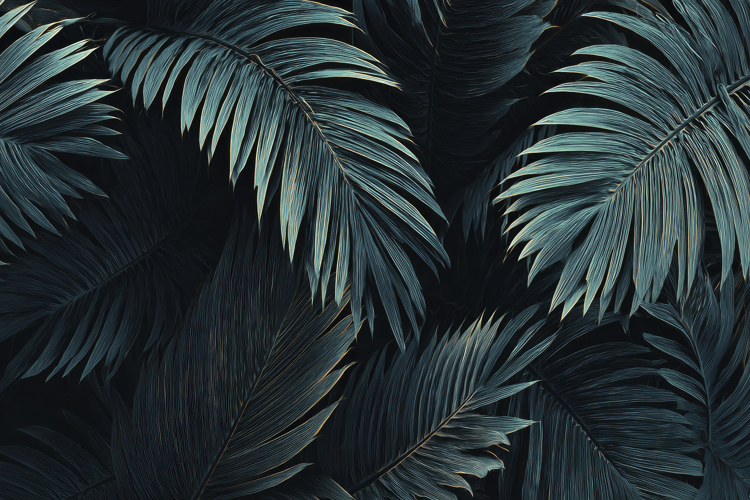 Tropical Palm Leaves Background