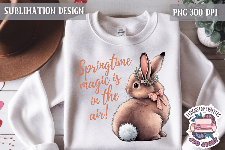 Cute Bunnies Spring Sublimation Design PNG Easter Hoop bunny