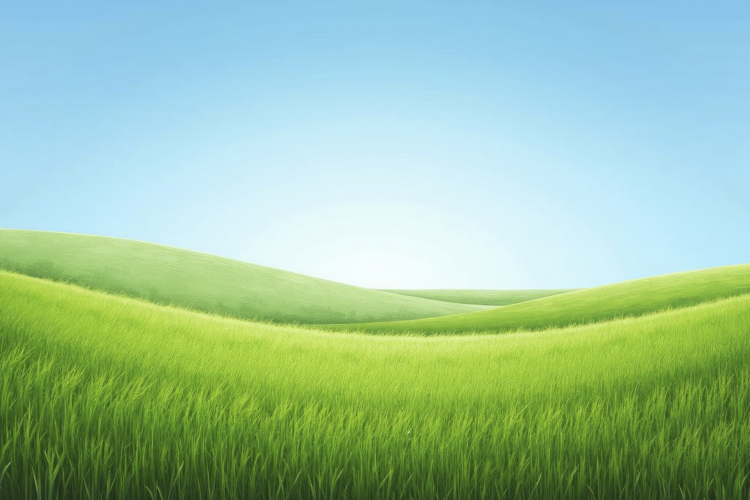 Blue Sky Texture Image 12