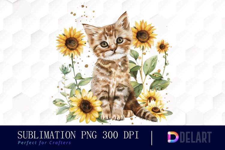 Kitten Png Image 23