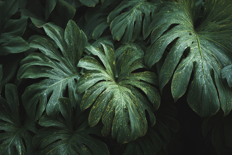 Craft Clipart Image 24