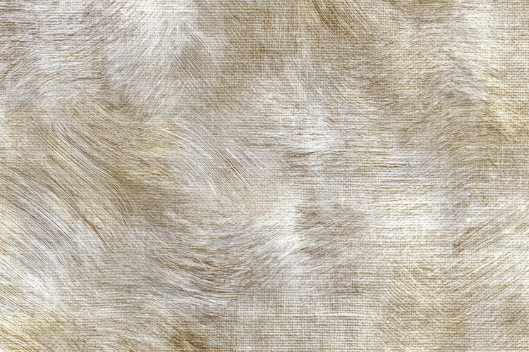 Hair Texture Image 2