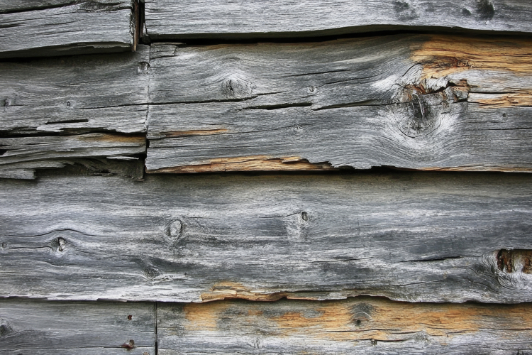Grain Texture Image 22