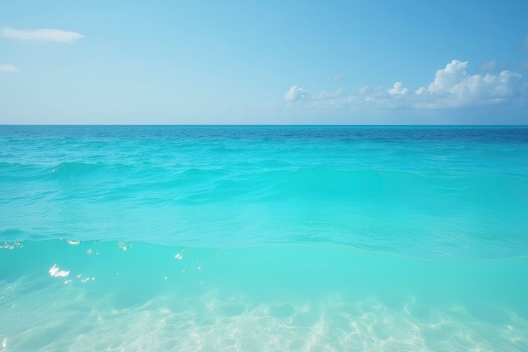 Beach Background Clipart Image 19