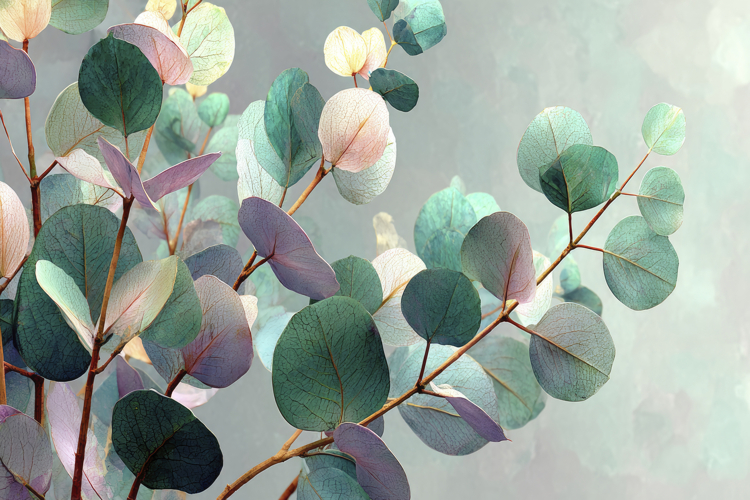 Craft Clipart Image 22