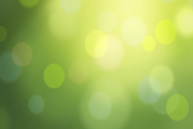 Green Texture Background Image 3