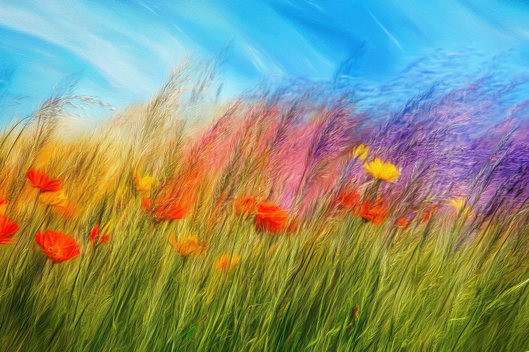 Grass Texture Image 22