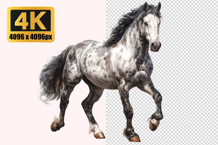 Grey Horse Transparent PNG