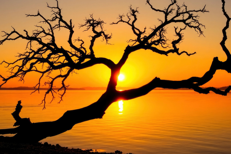 Sunset Background Image 8