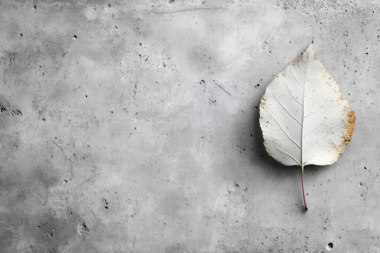 Leaf Texture Image 10