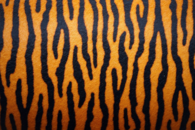 Pattern Background Image 20