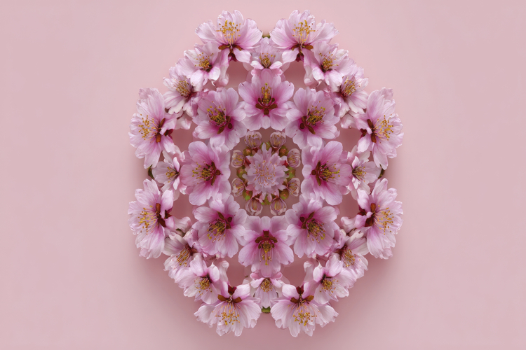 Pink Texture Image 3