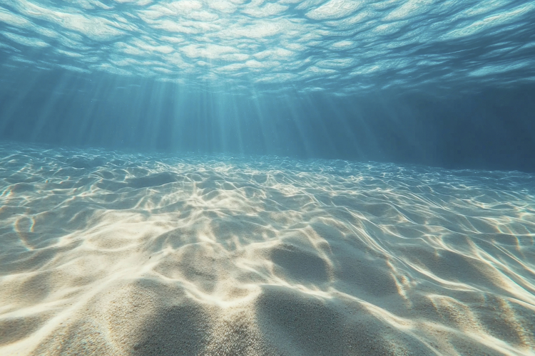 Underwater Background Image 11