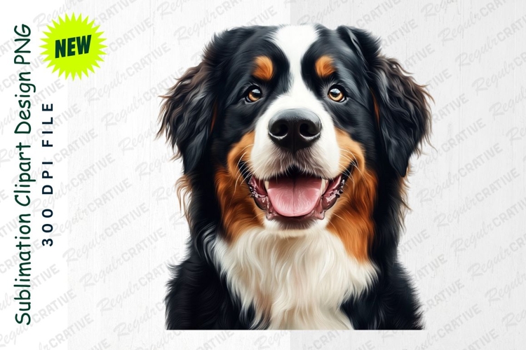 Bernese Clipart Image 5