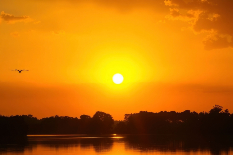 Sunset Background