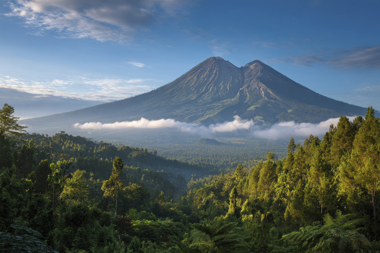 Fog Texture Image 18