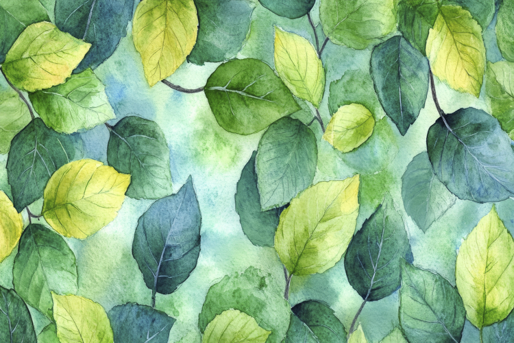 Green Wallpaper Image 5