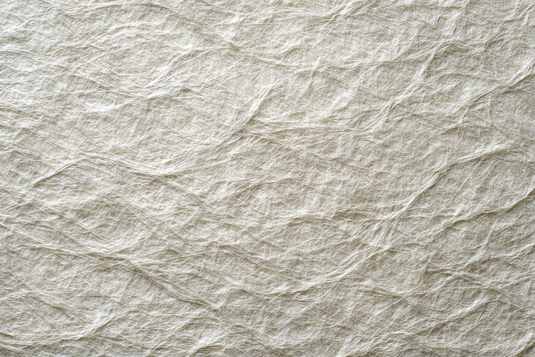 Paper Texture Background Image 14