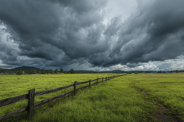 Field with a Wooden Fence Background Wallpaper