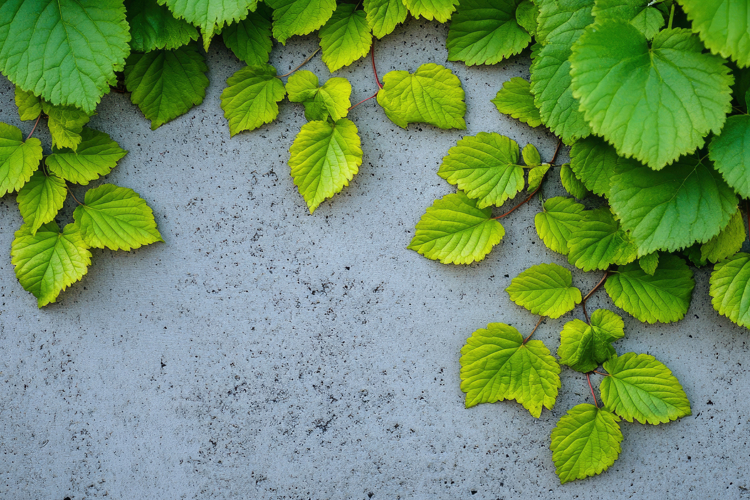Green Texture Background Image 18